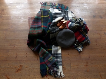 twe2008tartan-1[1].jpg