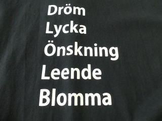 天竺ロゴTシャツ Drom Lycka Onkningの商品画像22