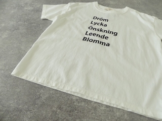 天竺ロゴTシャツ Drom Lycka Onkningの商品画像26