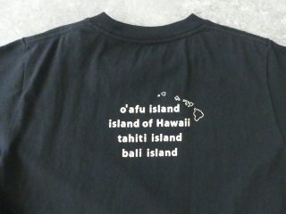 快晴堂(かいせいどう) 海上がりUNI-Tシャツ COMFORT FIT D柄「島巡り」の商品画像40