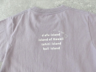 快晴堂(かいせいどう) 海上がりUNI-Tシャツ COMFORT FIT D柄「島巡り」の商品画像61