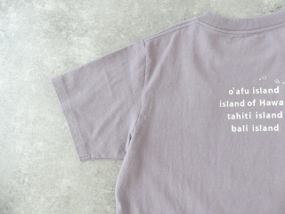 快晴堂(かいせいどう) 海上がりUNI-Tシャツ COMFORT FIT D柄「島巡り」の商品画像62