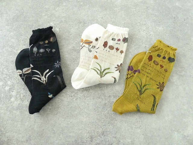 ANTIPAST(アンティパスト) BOTANICAL XV SOCKSの商品画像1