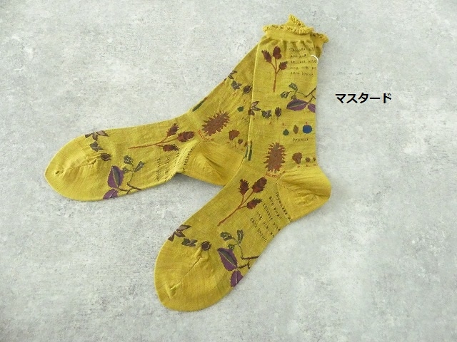 ANTIPAST(アンティパスト) BOTANICAL XV SOCKSの商品画像19