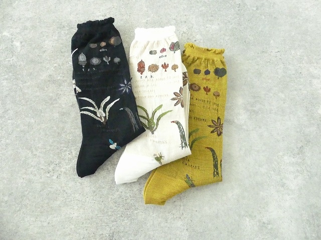 ANTIPAST(アンティパスト) BOTANICAL XV SOCKSの商品画像2