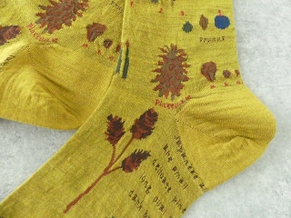 ANTIPAST(アンティパスト) BOTANICAL XV SOCKSの商品画像23