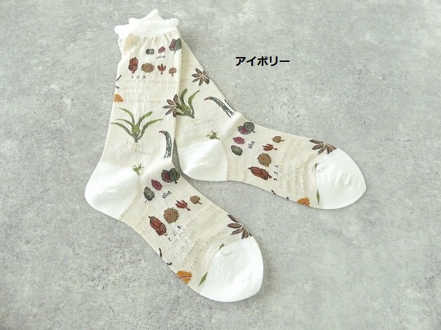 ANTIPAST(アンティパスト) BOTANICAL XV SOCKSの商品画像27