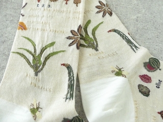 ANTIPAST(アンティパスト) BOTANICAL XV SOCKSの商品画像30