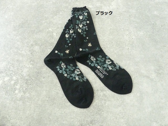 ANTIPAST(アンティパスト) SHAMROCK SOCKSの商品画像35