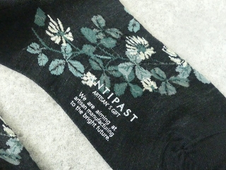 ANTIPAST(アンティパスト) SHAMROCK SOCKSの商品画像37
