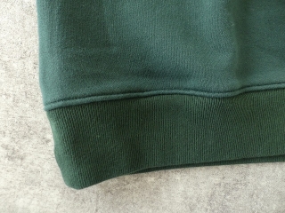 Blue Lake Market(ブルーレイクマーケット) 度詰裏毛ハーフジッププリントプルオーバー PENNの商品画像27