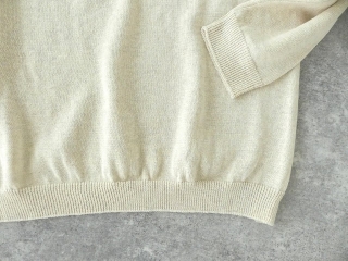 evam eva(エヴァムエヴァ) dry cotton raglan pulloverの商品画像28