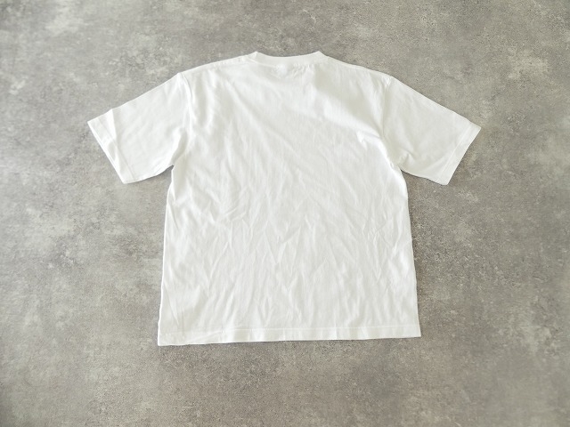 PK HOMAGE GRAPHIC Tの商品画像11