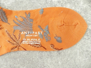 ANTIPAST(アンティパスト) THE SAFARI SOCKSの商品画像36