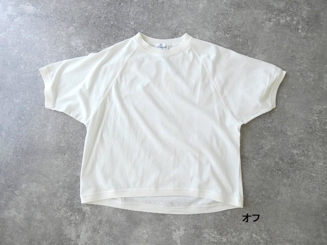 a16