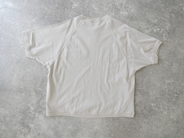 a19