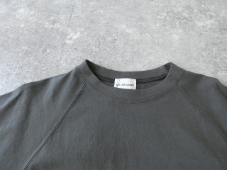 a30