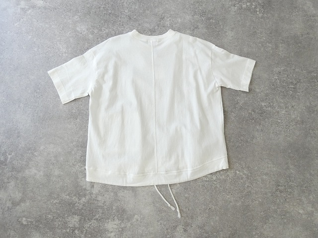 a13