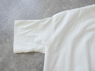 a36