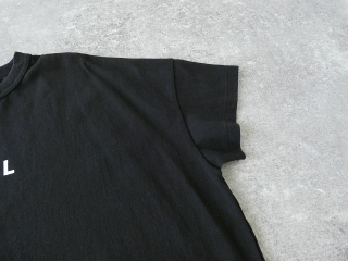 a29