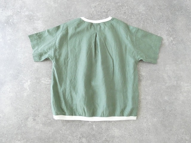 a19