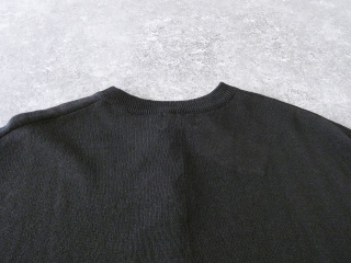 a31