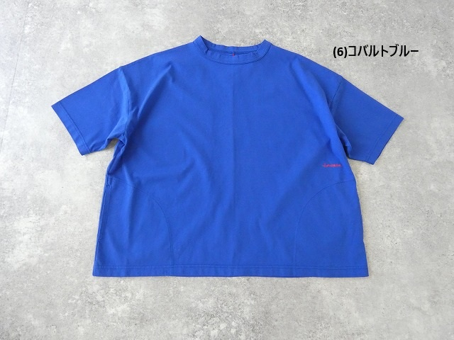 a12