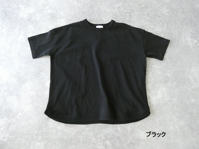 a13