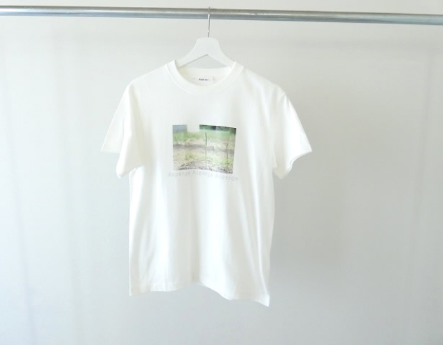 PAR ICI(パーリッシィ) AsperagusプリントTシャツの商品画像3