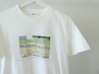 PAR ICI(パーリッシィ) AsperagusプリントTシャツの商品画像33