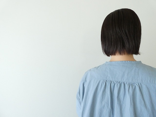 a11