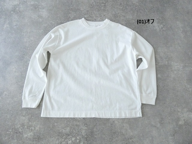 a13