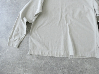 a48