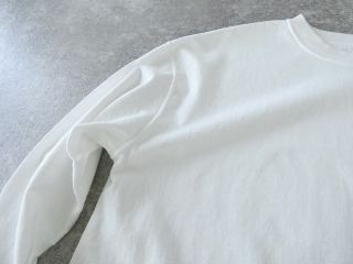 a53