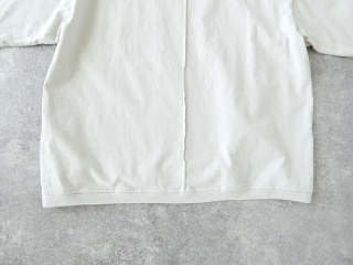 PACIFIC PARK STORE(パシフィックパークストア) サイドスリットプリントTee OLD DAY TRIPの商品画像32