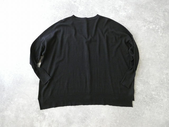 a19