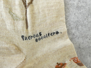 ANTIPAST(アンティパスト) WIND&ACORN TREE SOXの商品画像30