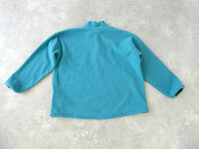 a19