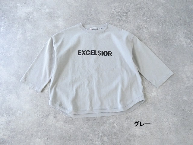 PACIFIC PARK STORE(パシフィックパークストア) 天竺プリントTシャツ EXCELSIORの商品画像11