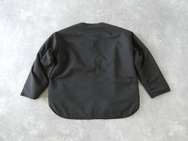 a19