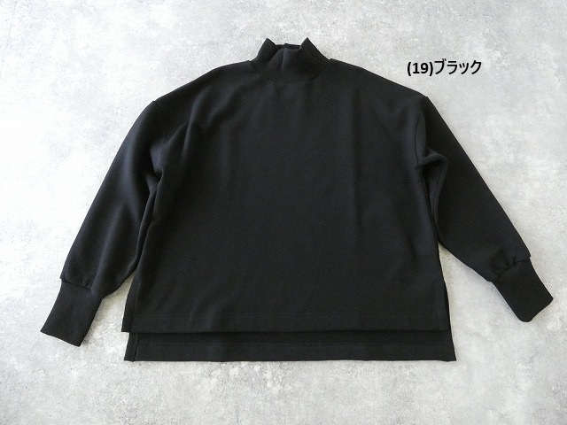 TRAVAIL MANUEL(トラバイユマニュアル) 起毛裏毛ハイネックプルオーバーの商品画像28
