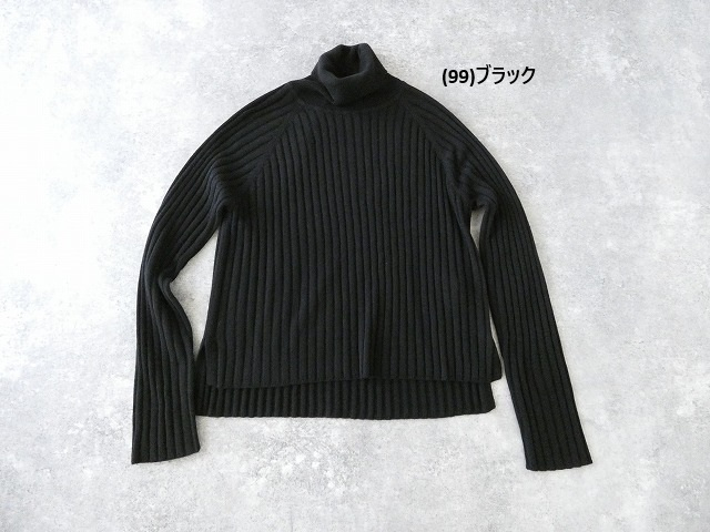 mizuiro ind(ミズイロインド) ワイドリブハイネックプルオーバーの商品画像42