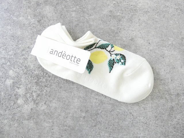  ハイゲージスニーカーソックス　レモンの商品画像2