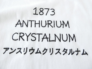 yuni(ユニ イズ ライク ア フラワー トゥー ミー) ANTHURIUMエンブロイダリーロングスリーブTの商品画像24