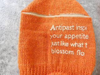 ANTIPAST(アンティパスト) LETTER COVER　レターカバーの商品画像46