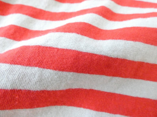 prit(プリット) リサイクル天竺カラーボーダー5分袖ワイドTシャツの商品画像31