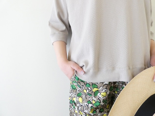 BLUE LAKE MARKET(ブルーレイクマーケット) ハニカムメッシュ ラグランスリーブプリントプルオーバーの商品画像17