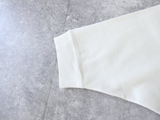 BLUE LAKE MARKET(ブルーレイクマーケット) ハニカムメッシュ ラグランスリーブプリントプルオーバーの商品画像45