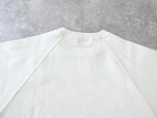 BLUE LAKE MARKET(ブルーレイクマーケット) ハニカムメッシュ ラグランスリーブプリントプルオーバーの商品画像47