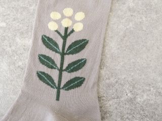 French Bull(フレンチブル) レポソックスの商品画像33